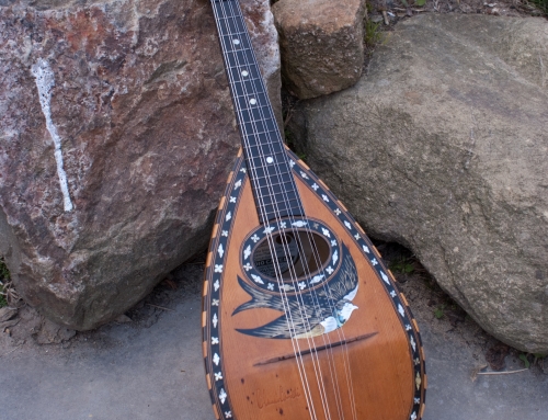 (Nederlands) Claudio Cavelli mandoline